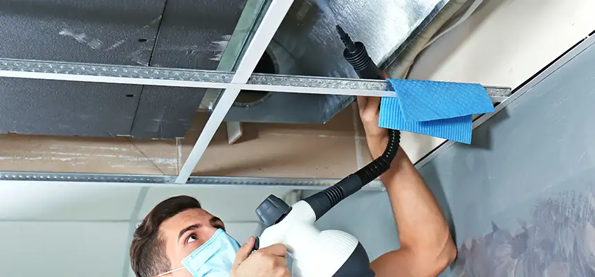 Our Air Duct Rodent Removal Services in Sunnyvale, CA