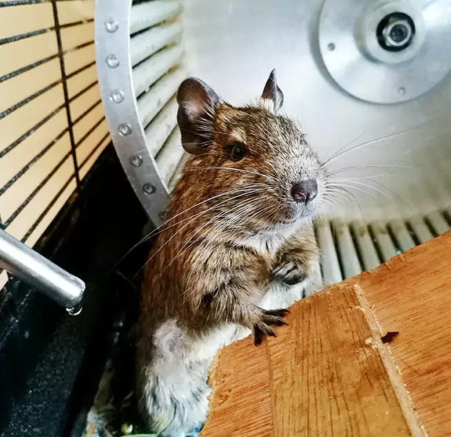 Why Homeowners & Businesses Trust Us Sunnyvale, CA